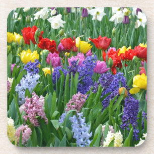 Porta-copo Jardim de primavera colorida