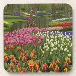 Porta-copo Jardim de tulipas e jacintos, Jardins Keukenhof,