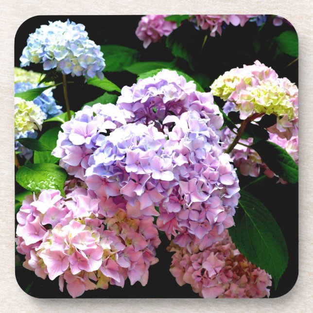 Porta-copo Jardim Hydrangea, rosa, azul, floral roxo (Frente)