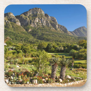 Porta-copo Jardins Botânicos Kirstenbosch, Cidade do Cabo