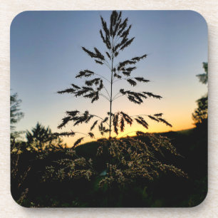 Porta-copo Johnson Grass