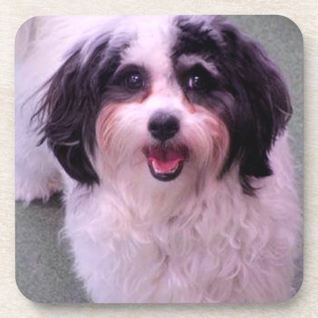 Porta-copo K-Cee Sorte De Cão (Frente)