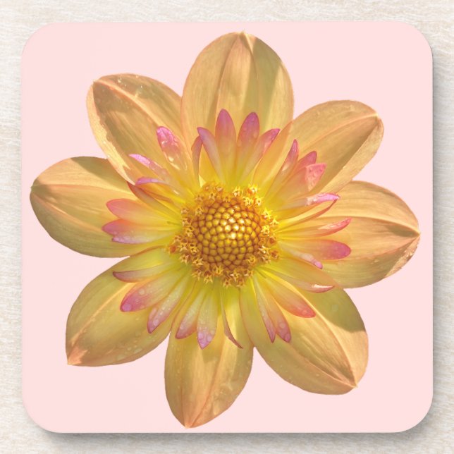 Porta-copo Kelsey Annie Joy Dahlia, Flor Laranja Impressionan (Frente)
