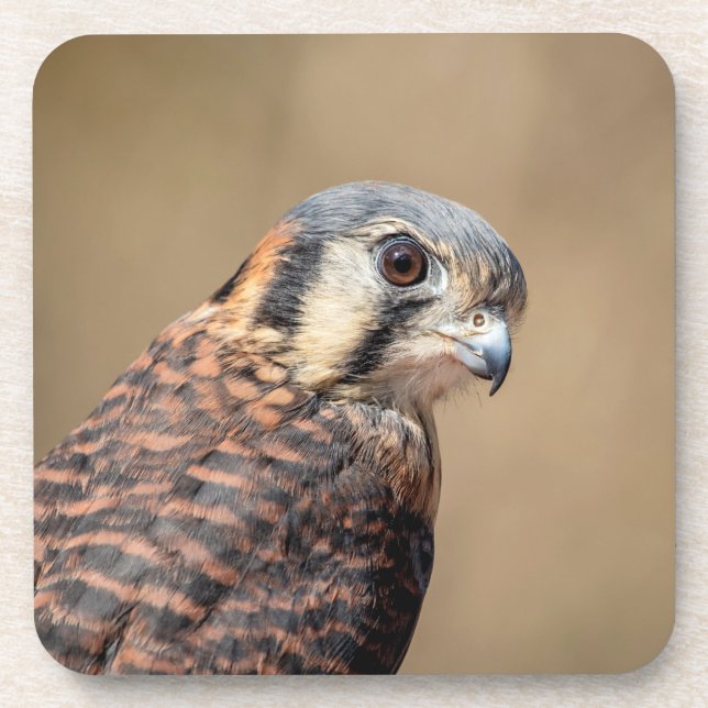 Porta-copo Kestrel Americano (Frente)