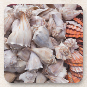 Porta-copo Key West, conchas