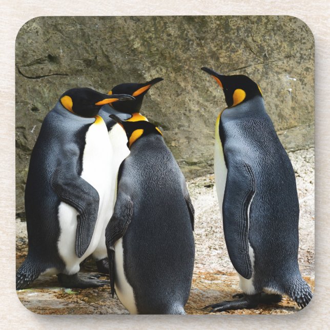 Porta-copo King Penguin (Frente)