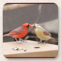 Kissing Cardinals