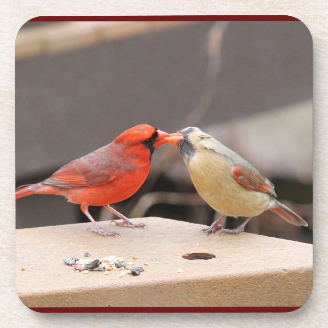 Porta-copo Kissing Cardinals (Frente)