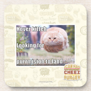 Porta-copo Kitteh do pairo