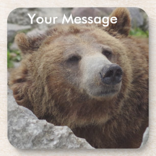 Porta-copo Kodiak Bear