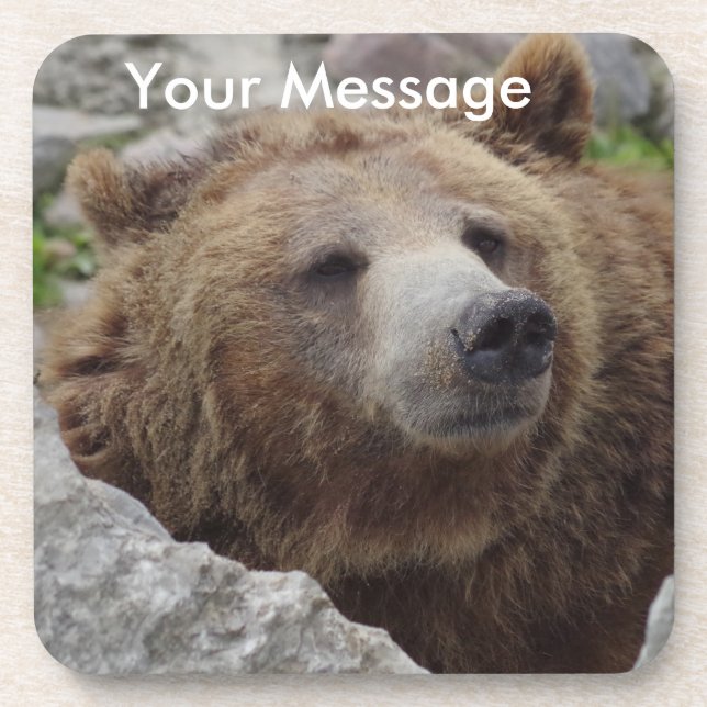 Porta-copo Kodiak Bear (Frente)