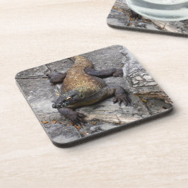 Porta-copo Komodo Dragon on Rugged Stones