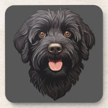 Labradoodle Black Dog