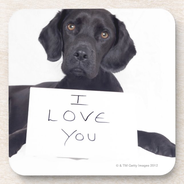 Porta-copo Labrador preto 13 meses (Frente)