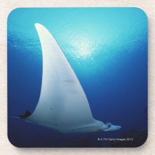 Porta-copo Lado de baixo de um raio de manta