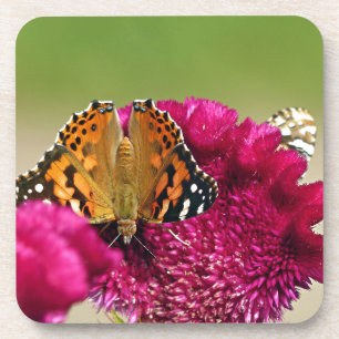 Porta-copo Lady Butterfly Pintada