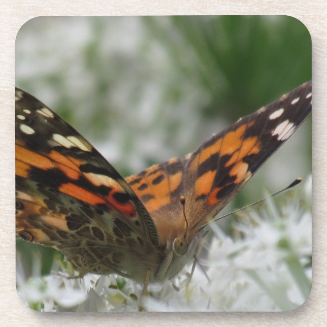 Porta-copo Lady Butterfly Pintada (Frente)