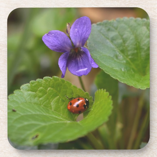 Porta-copo Ladybug em Flores de Violeta Doce (Frente)