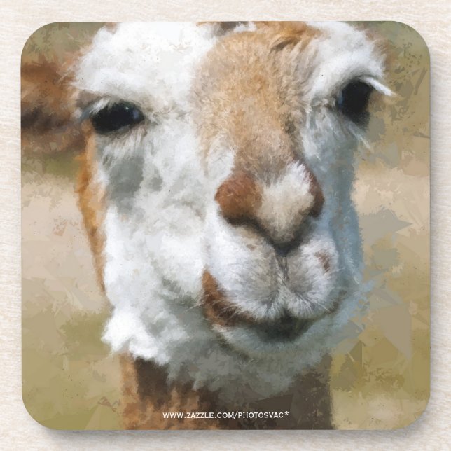 Porta-copo Lama feliz, efeito de pintura (Frente)