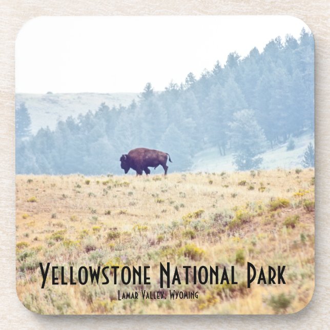 Porta-copo Lamar (Frente)