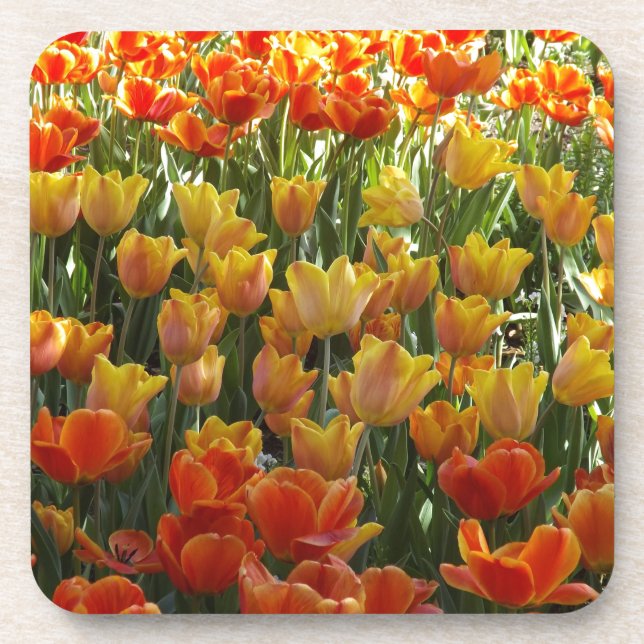 Porta-copo Laranja-&-Amarelo-Tulips.jpg (Frente)