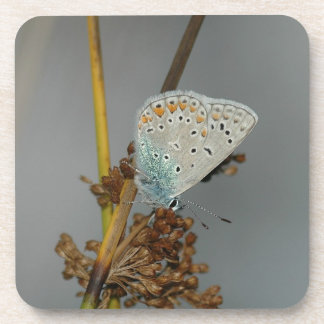 Porta-copo Laranja Branco Azul com Borboleta Preta