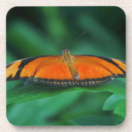 Porta-copo Laranja Brilhante e Borboleta Negra em Folha
