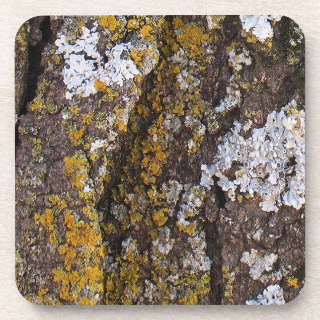 Porta-copo Latido De Árvore Com Lichens (Frente)