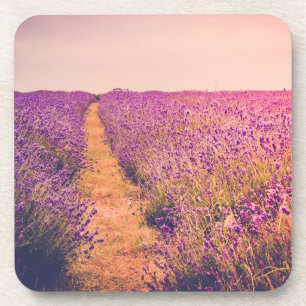 Porta-copo Lavanda