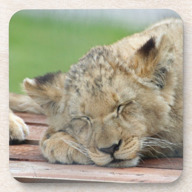 Porta-copo Leão 014 (Frente)