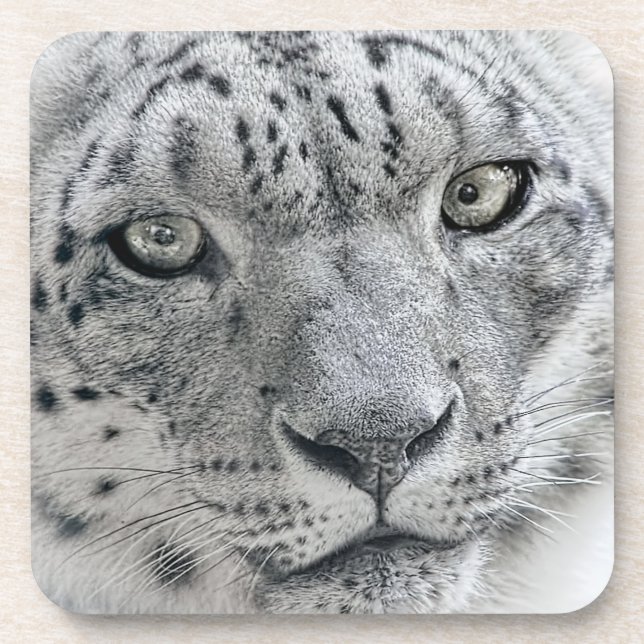 Porta-copo Leopardo branco exótico (Frente)
