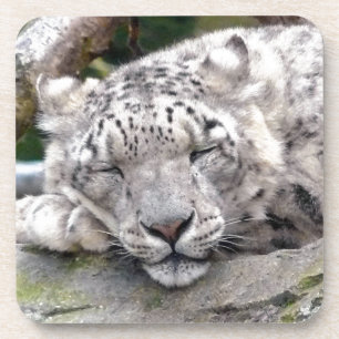 Porta-copo Leopardo de neve - bonito!