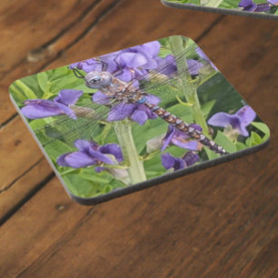 Porta-copo Libélula Darner de Olhos Azuis em Flores Roxas