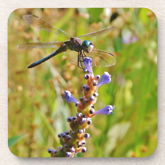 Porta-copo libélula de flor de lavanda (Frente)