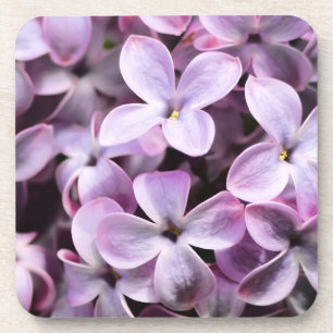 Porta-copo Lilacs bonito