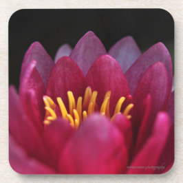 Porta-copo Lily Água