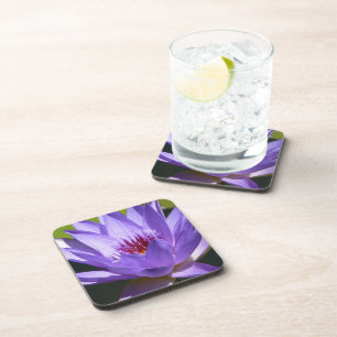Porta-copo Lily de água púrpura