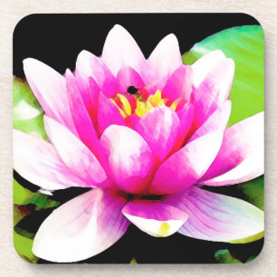 Porta-copo Lily de água rosa