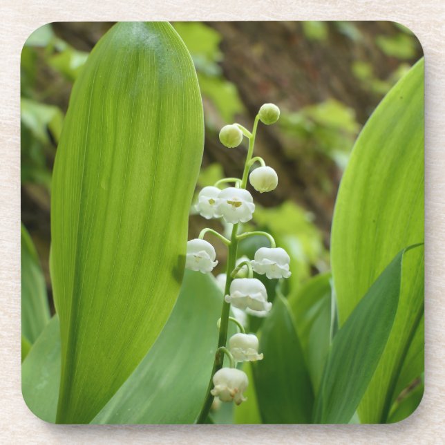 Porta-copo Lily do Vale (Frente)