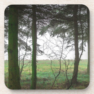 Porta-copo Limpeza da floresta no nevoeiro