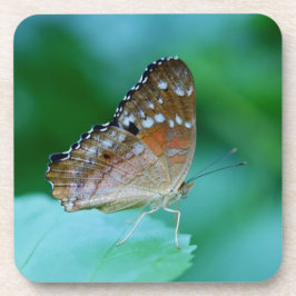 Porta-copo Linda Borboleta Danaus Plexippus na Folha.