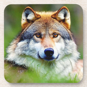 Porta-copo Linda pintura de cabeça de lobo
