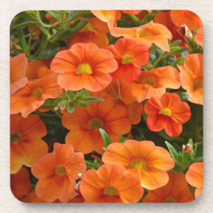 Porta-copo Lindas flores de laranja-pera