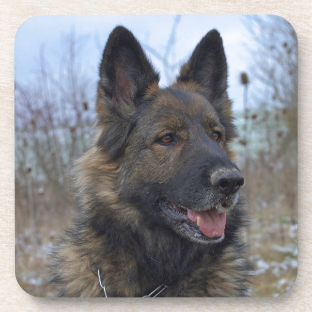 Porta-copo lindo cachorrinho preto e German shepherd bronzead (Frente)