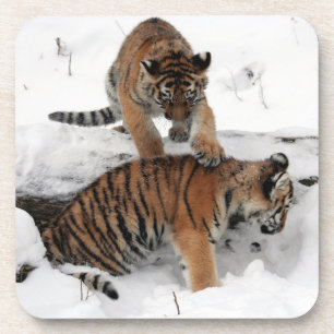 Porta-copo Lindos Cubos de Tigre tocando na neve