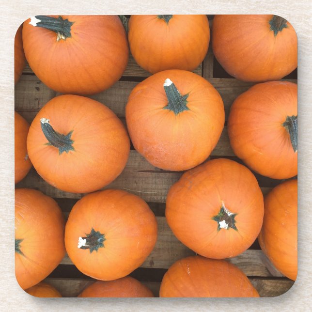 Porta-copo Linhas de Abóbora (Frente)