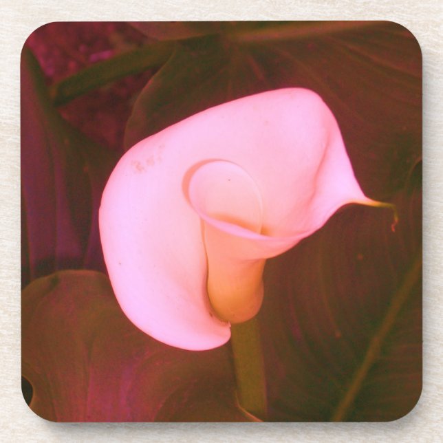 Porta-copo Lírio Calla (Frente)