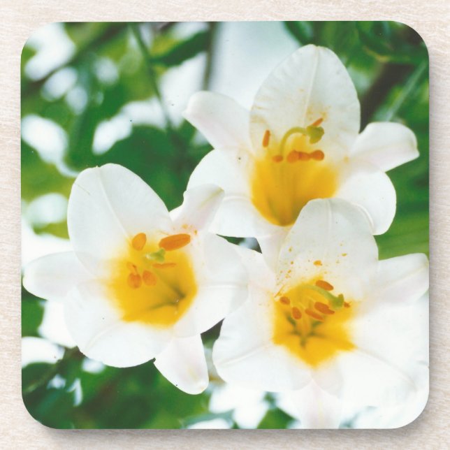 Porta-copo Lírios brancos - Símbolo do amor (Frente)