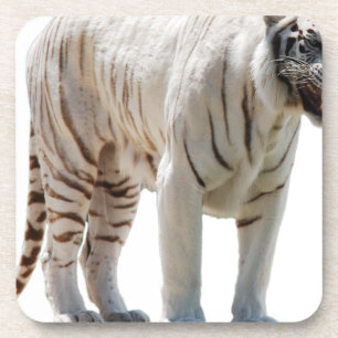 Porta-copo Listras de gato tigre personalizam aniversários de