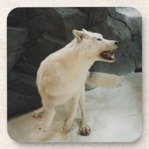 Porta-copo Lobo Branco